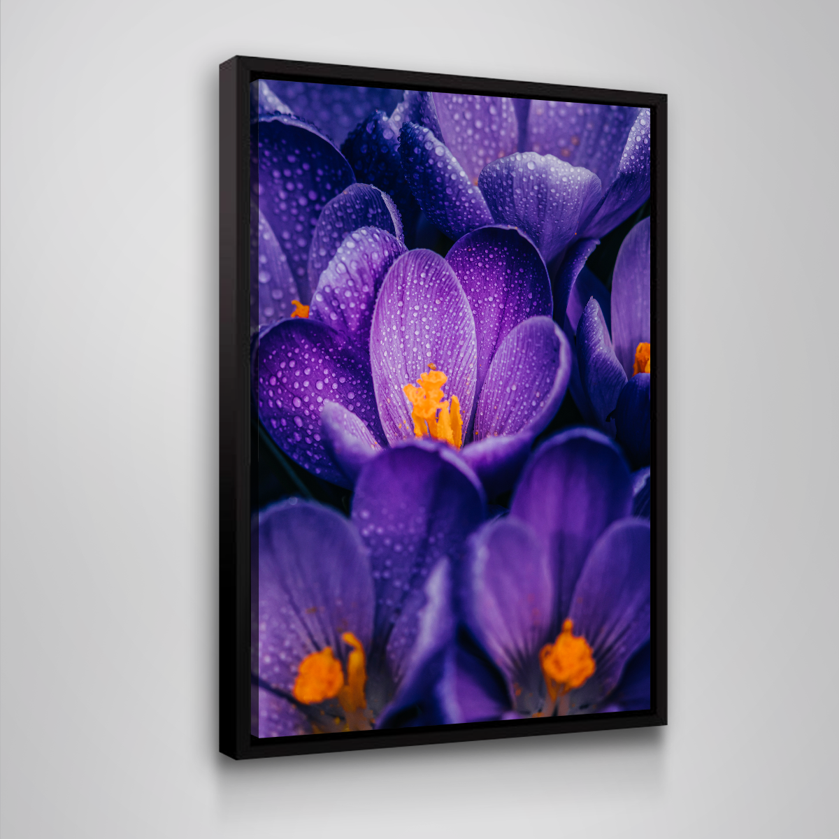 Pollen Purple Wall Art