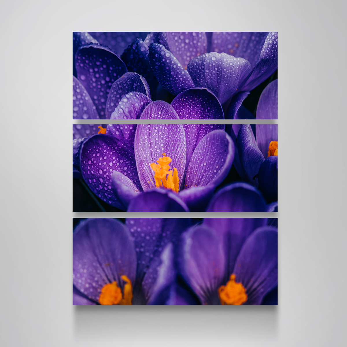 Pollen Purple Wall Art