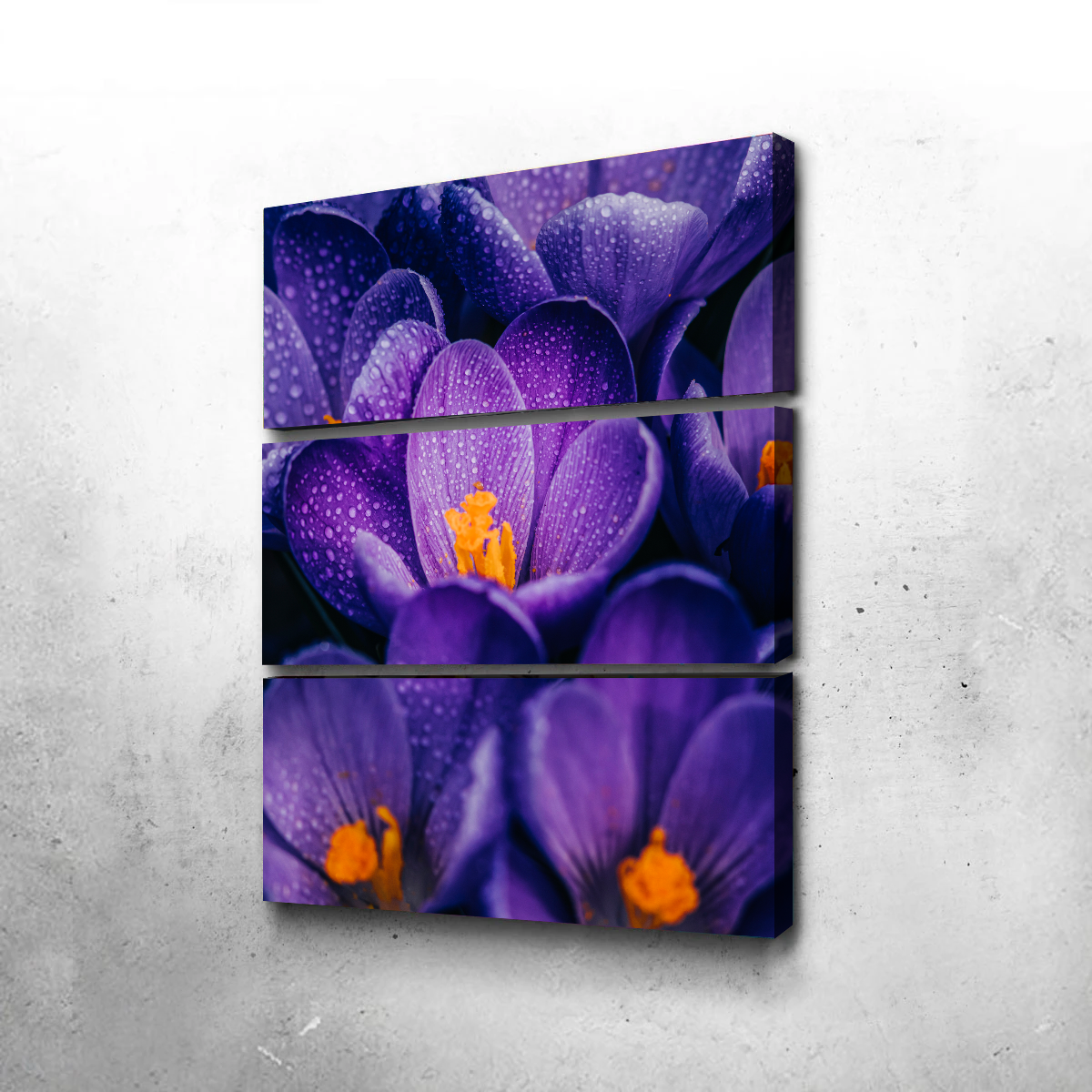 Pollen Purple Wall Art