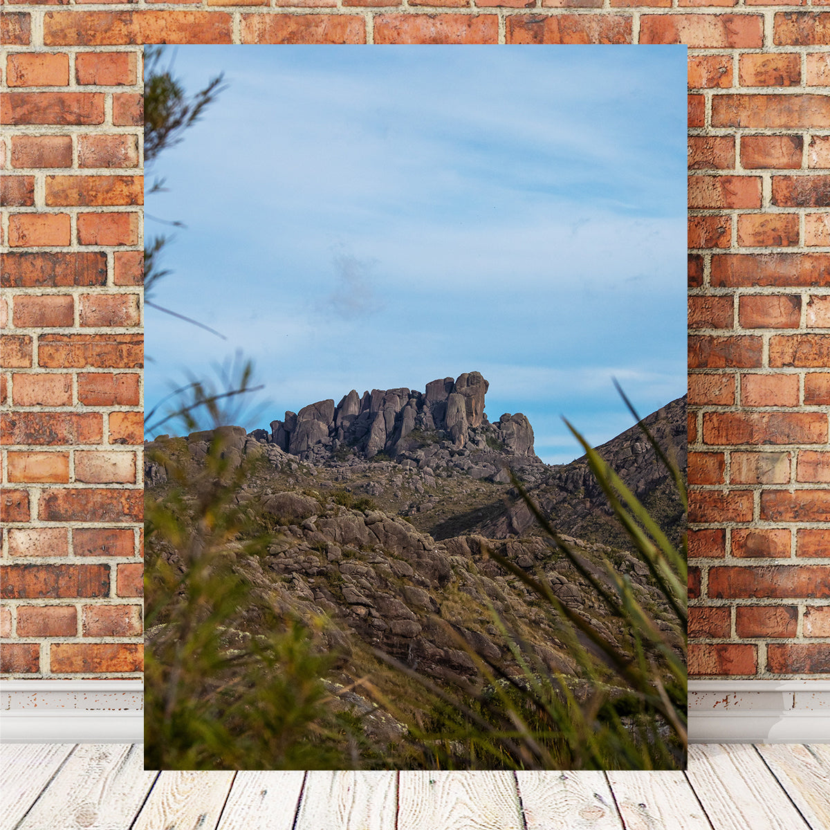 Prateleiras from Itatiaia National Park Wall Art