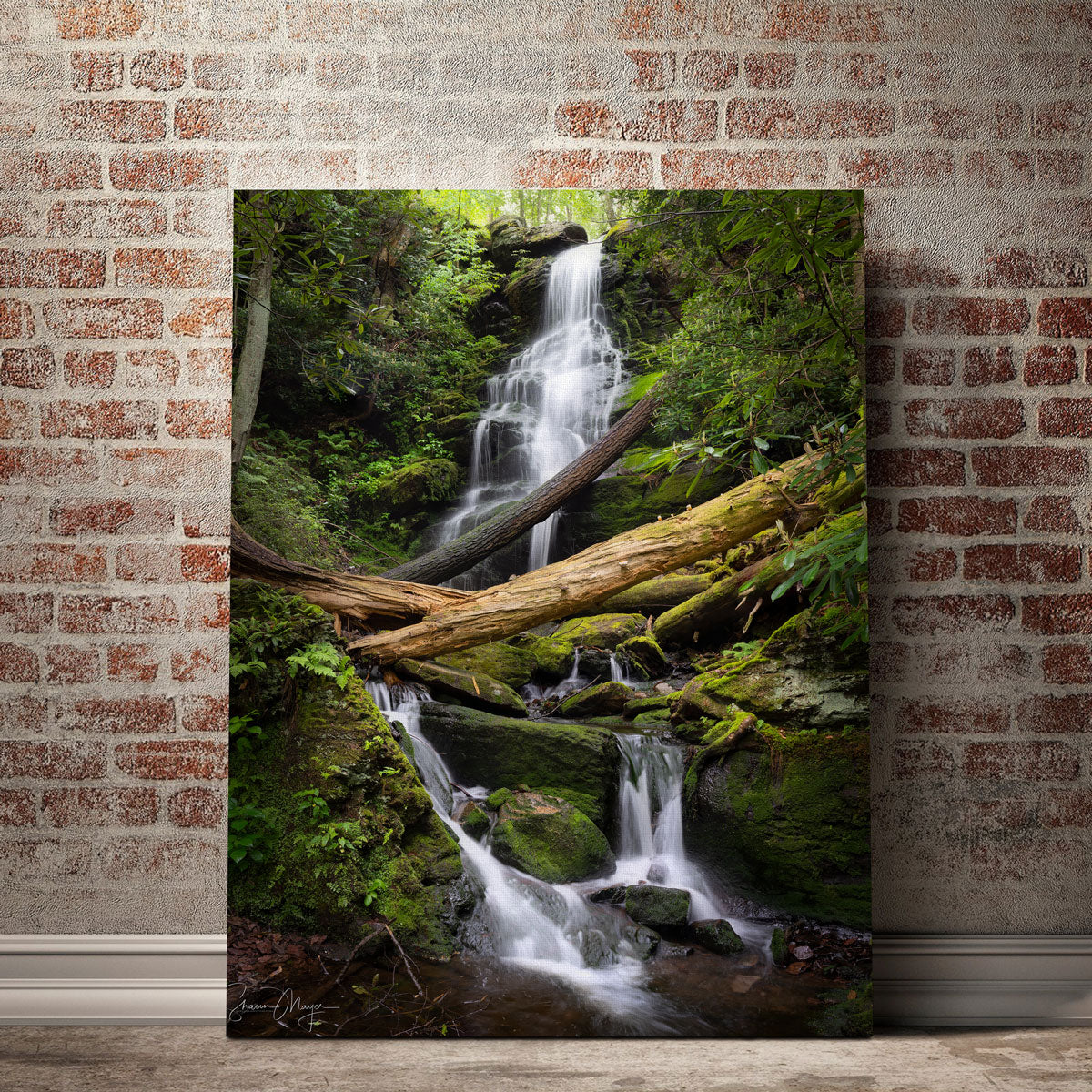 Pristine Habitat Wall Art