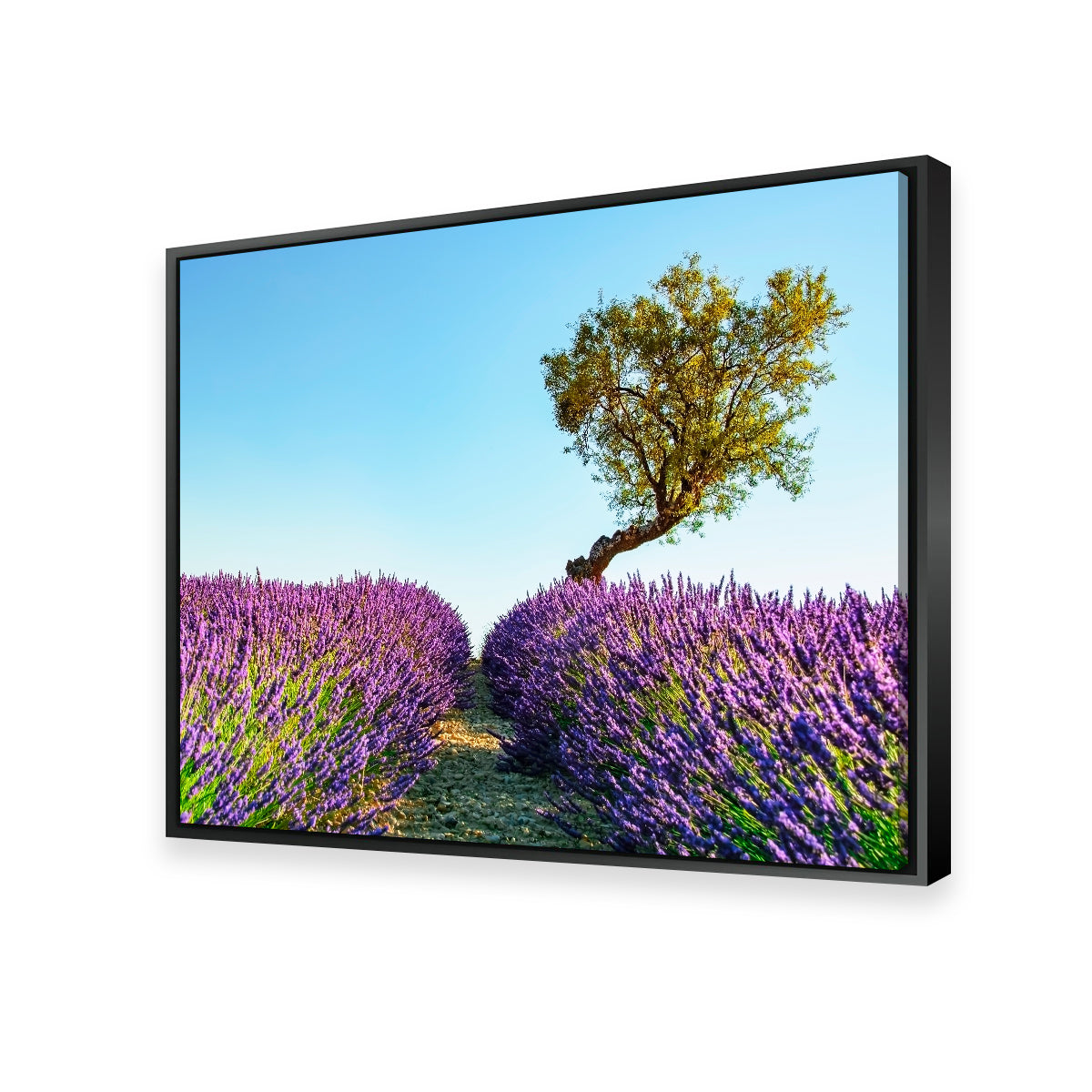 Provence Landscape Wall Art