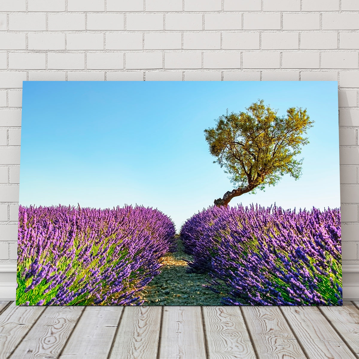 Provence Landscape Wall Art