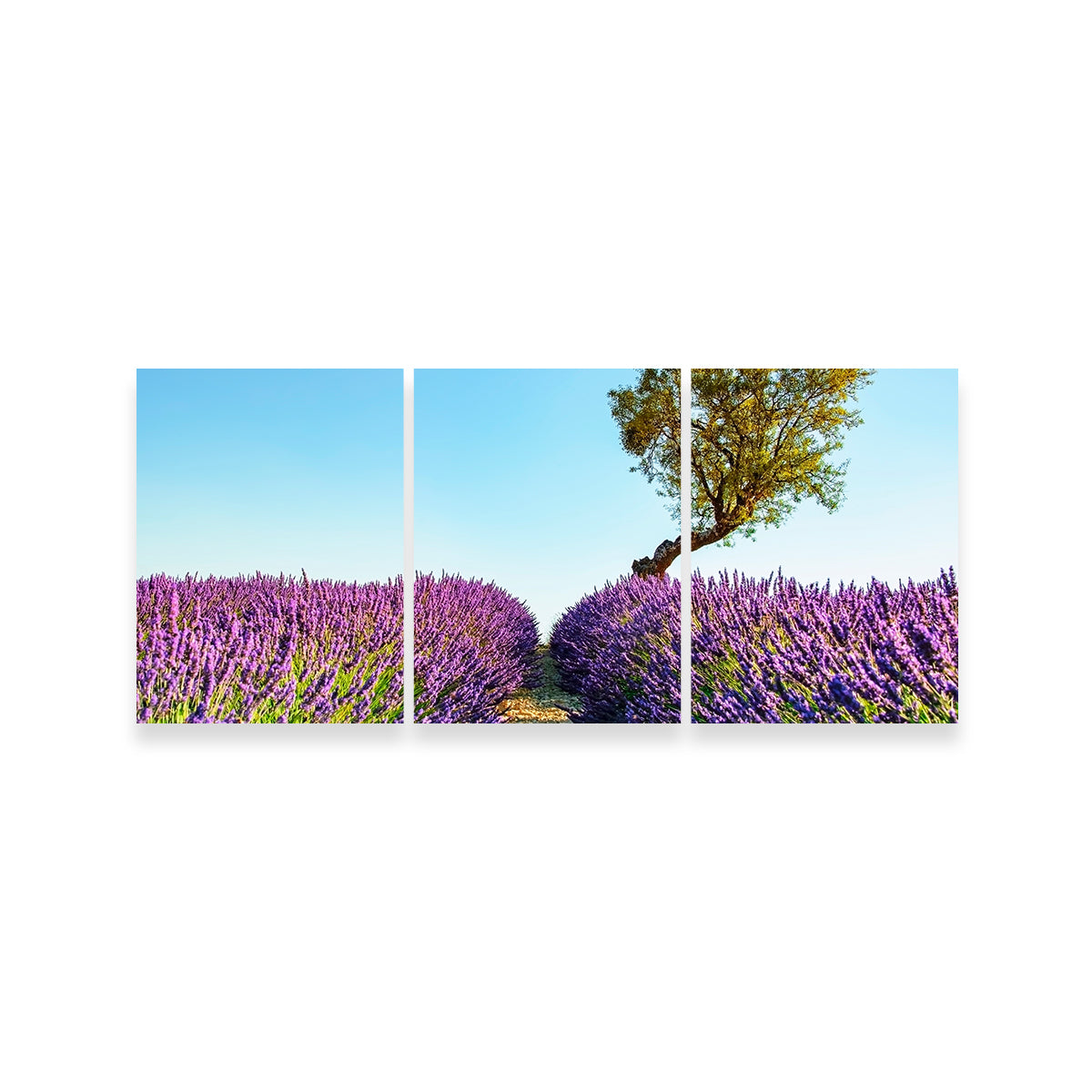 Provence Landscape Wall Art