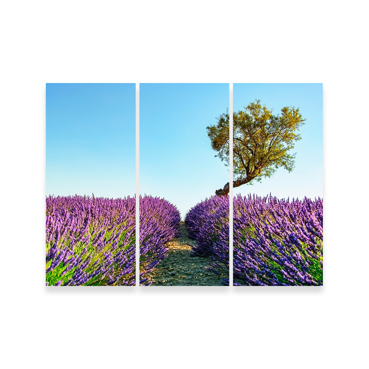 Provence Landscape Wall Art