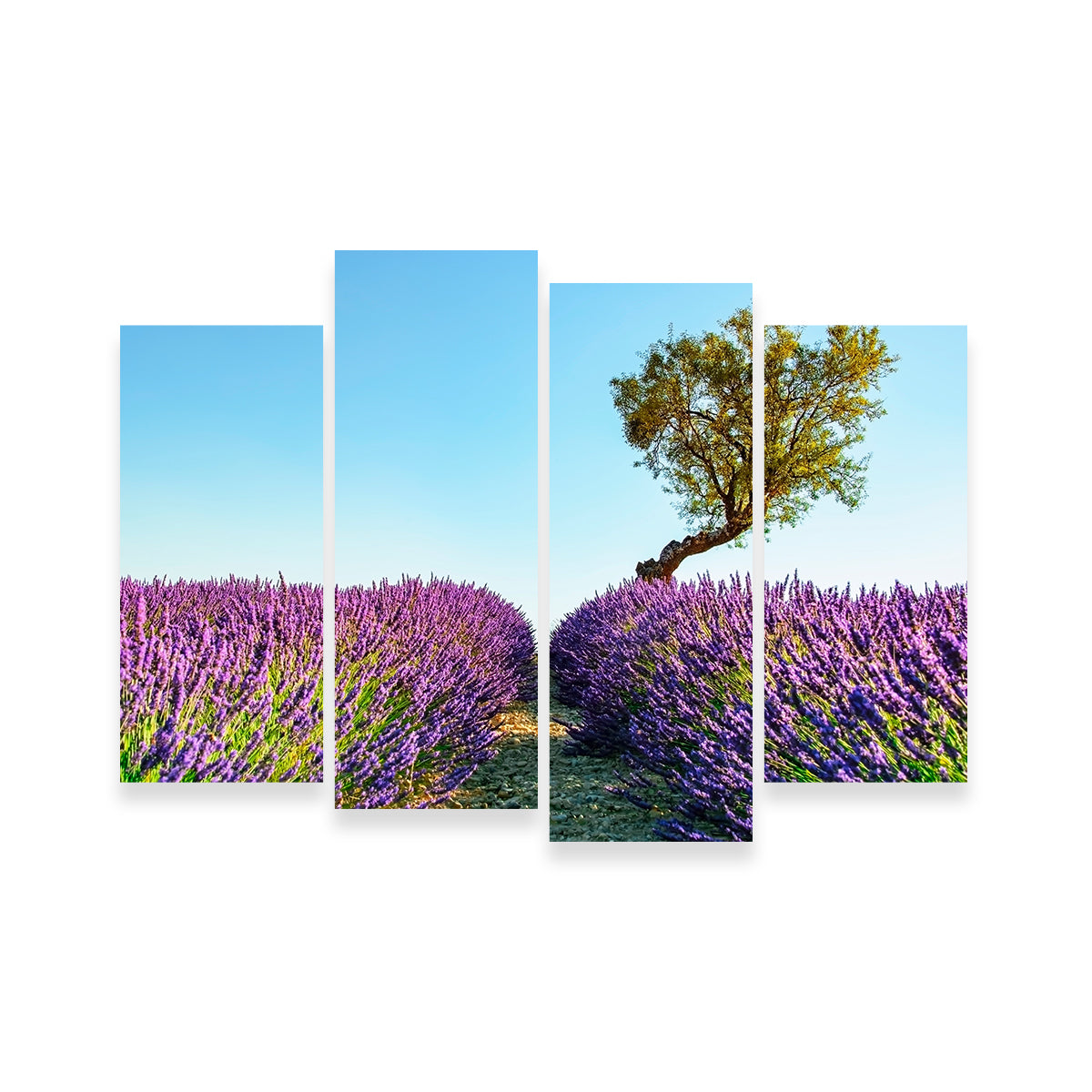 Provence Landscape Wall Art