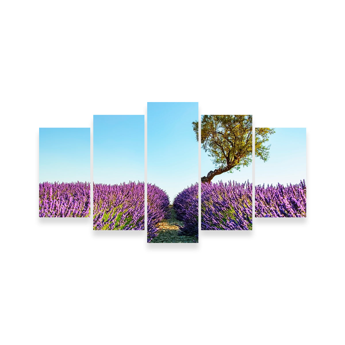 Provence Landscape Wall Art