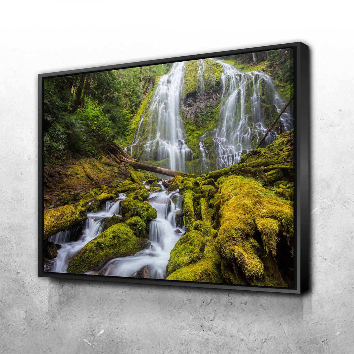 Proxy Falls Wall Art
