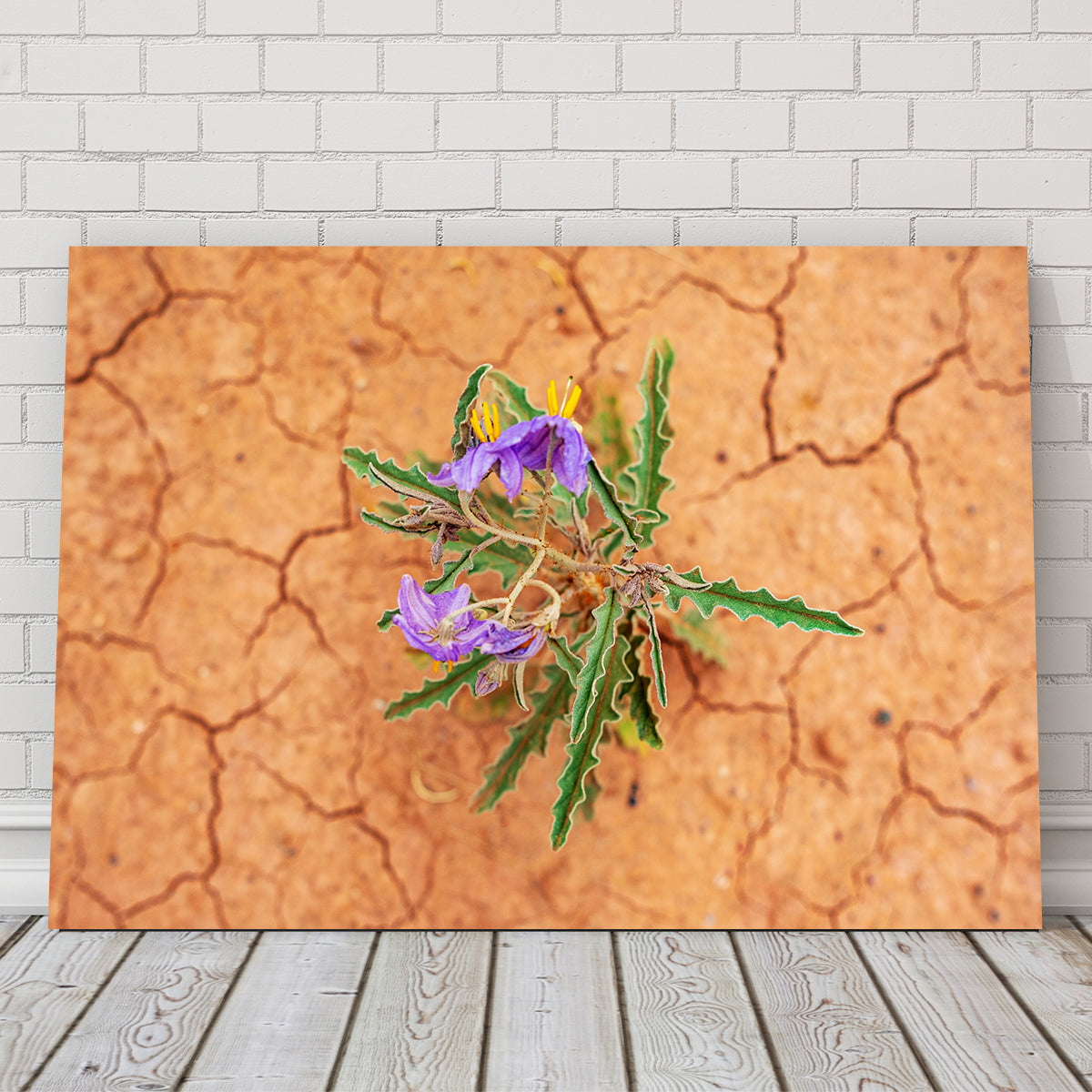 Purple Desert Wild Flowers Wall Art
