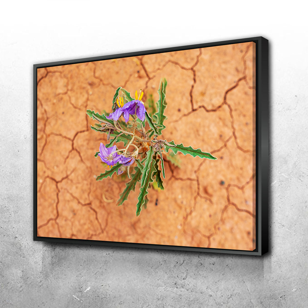 Purple Desert Wild Flowers Wall Art