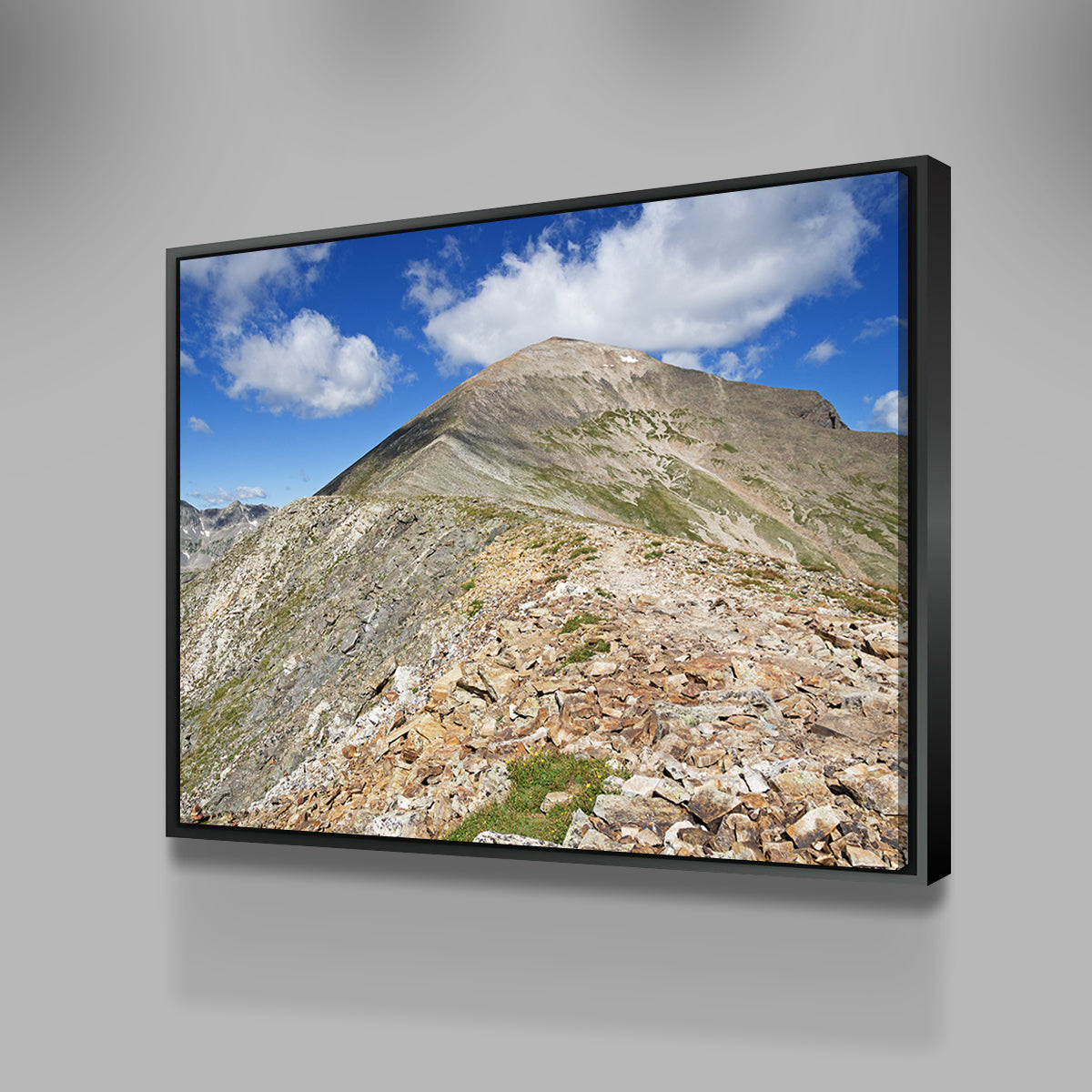 Quandary Peak Wall Art