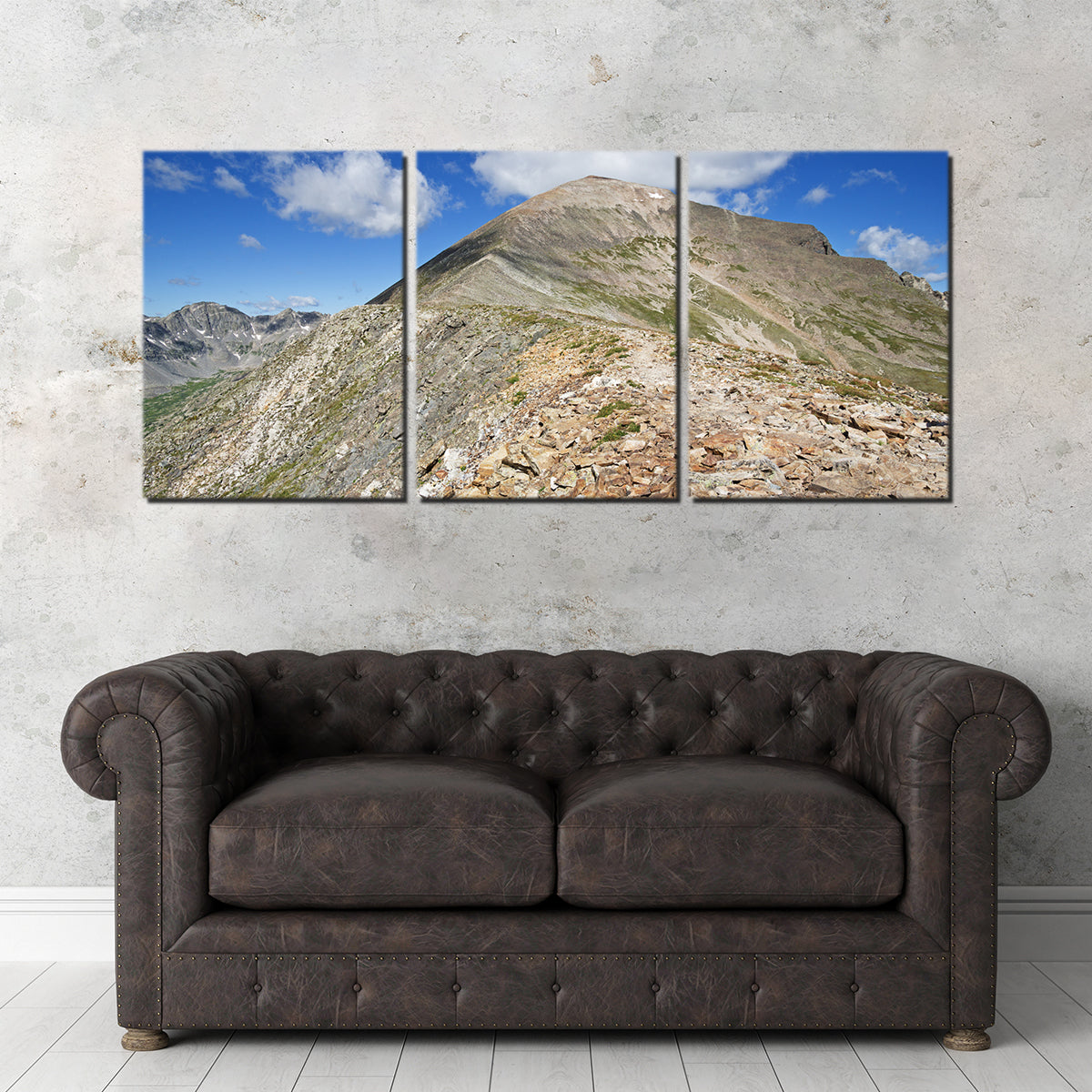 Quandary Peak Wall Art