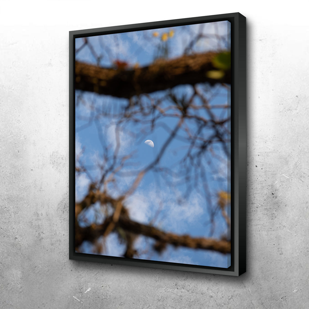 Quarter Moon Among the Tree Wall Art