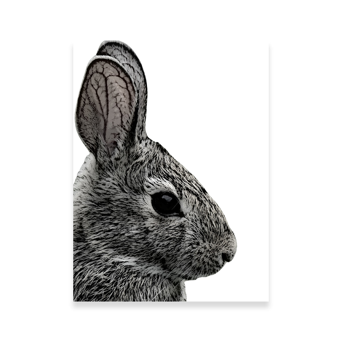 Rabbit Sketch Wall Art
