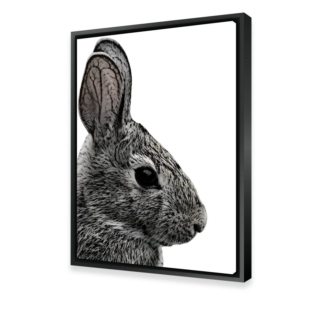 Rabbit Sketch Wall Art