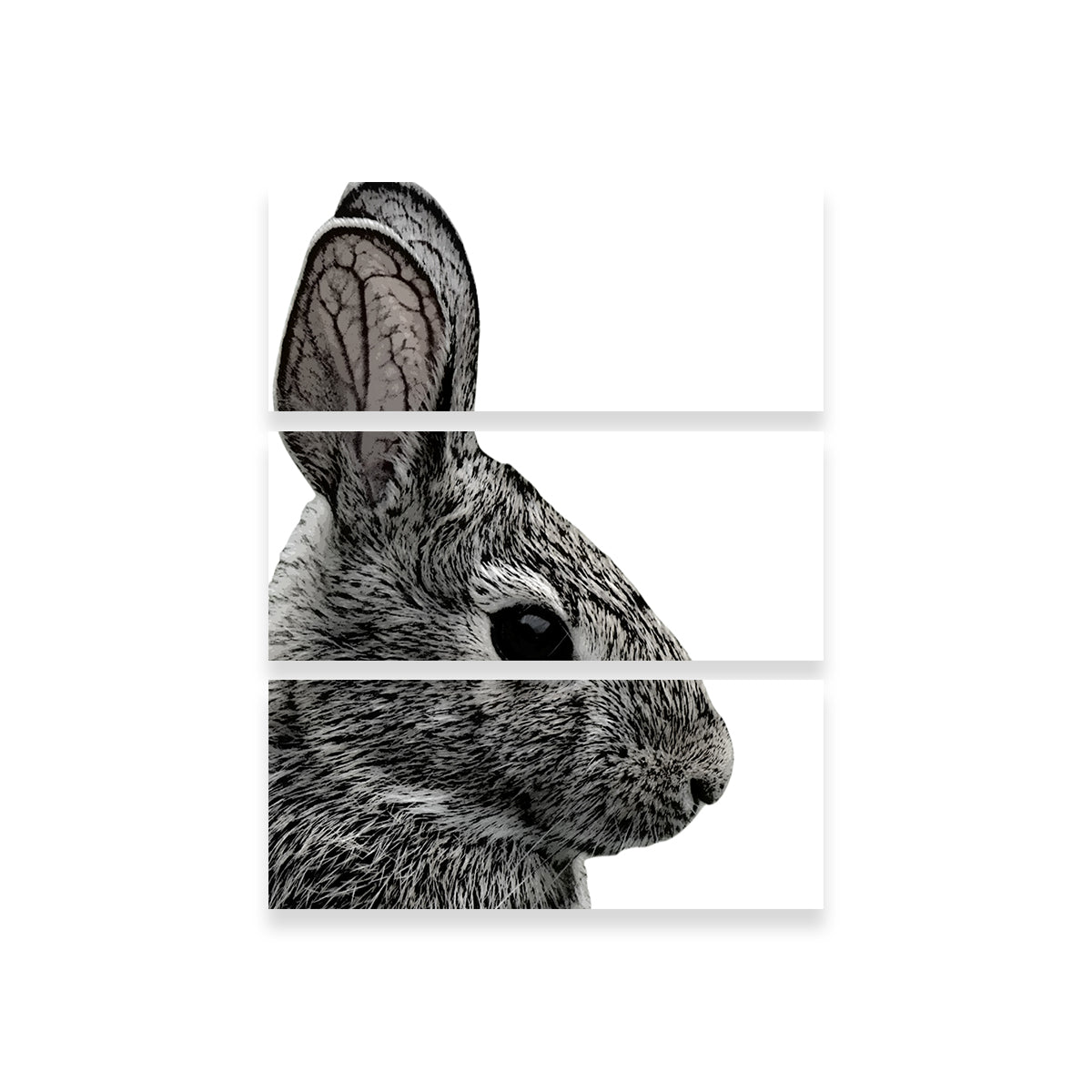 Rabbit Sketch Wall Art