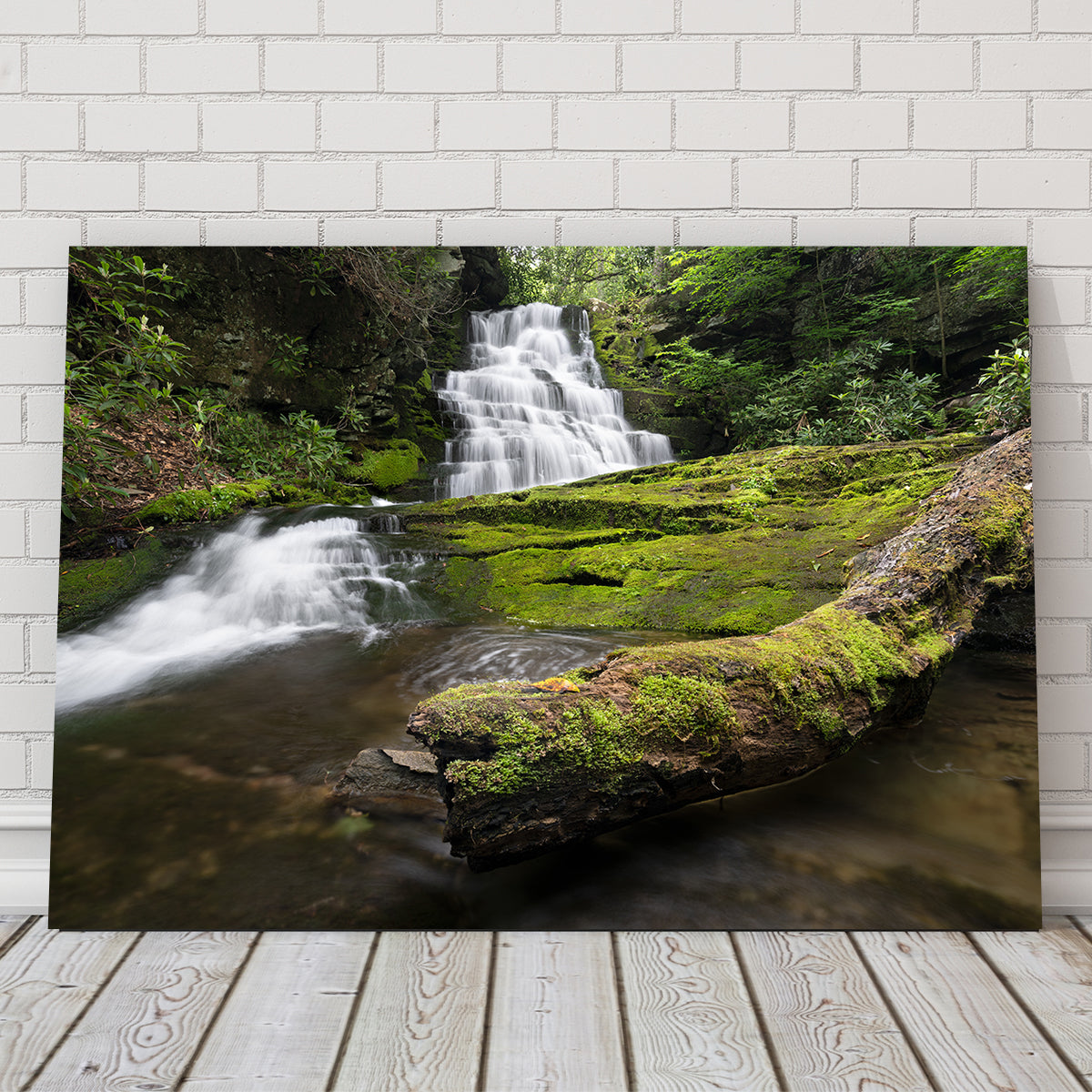 Rattlesnake Falls Wall Art