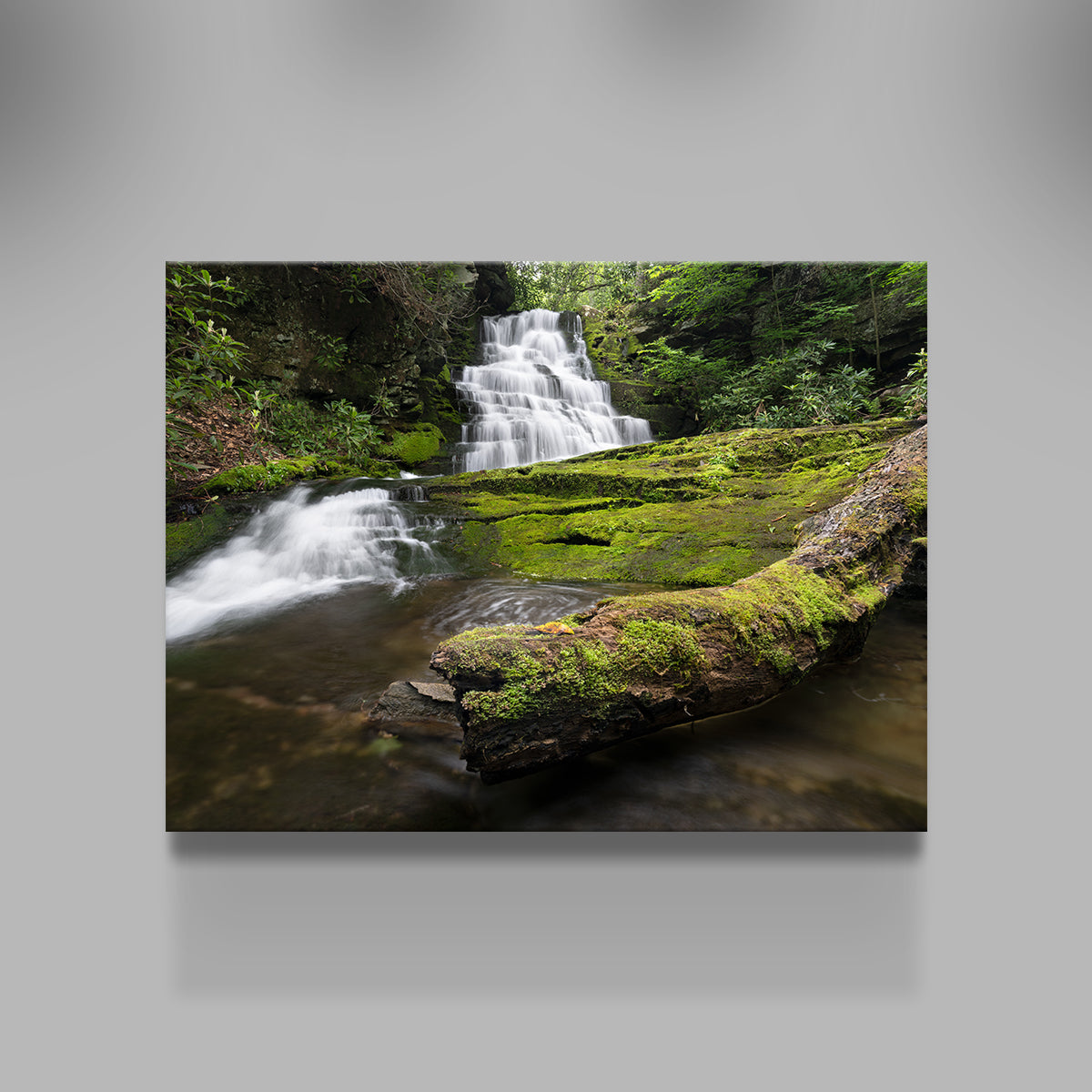 Rattlesnake Falls Wall Art