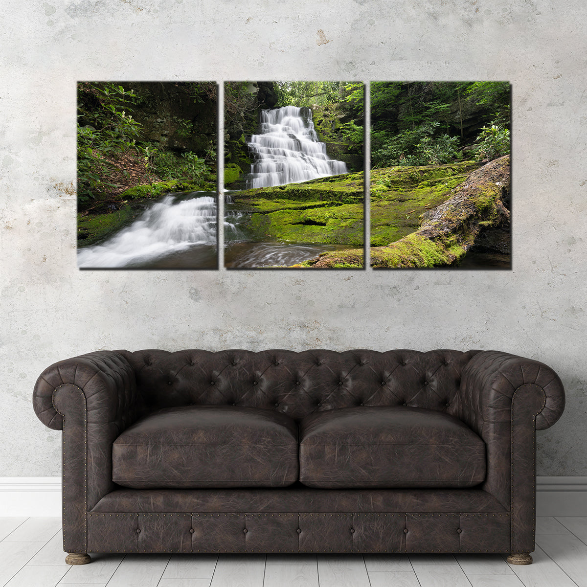 Rattlesnake Falls Wall Art
