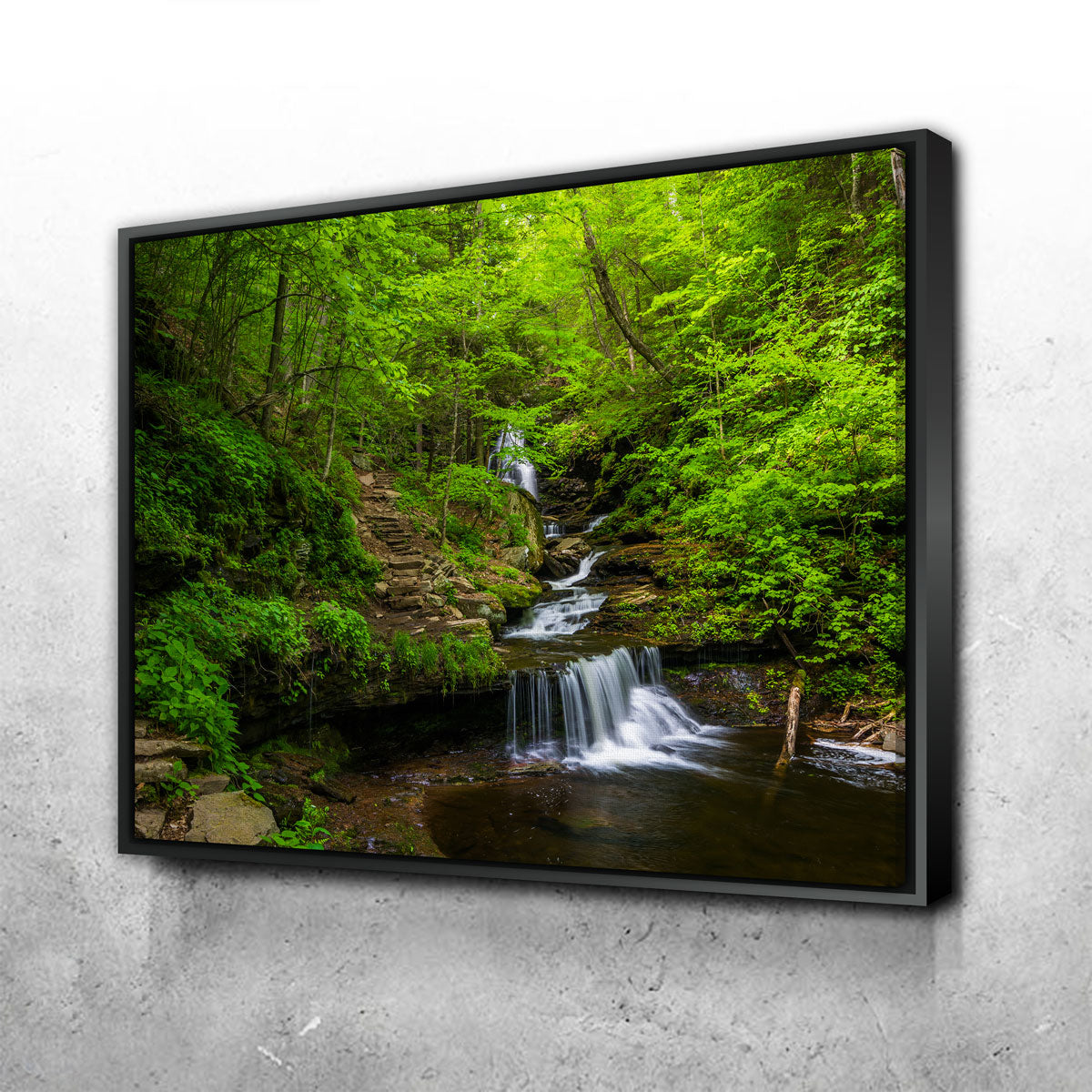 Ricketts Glen State Park Wall Art