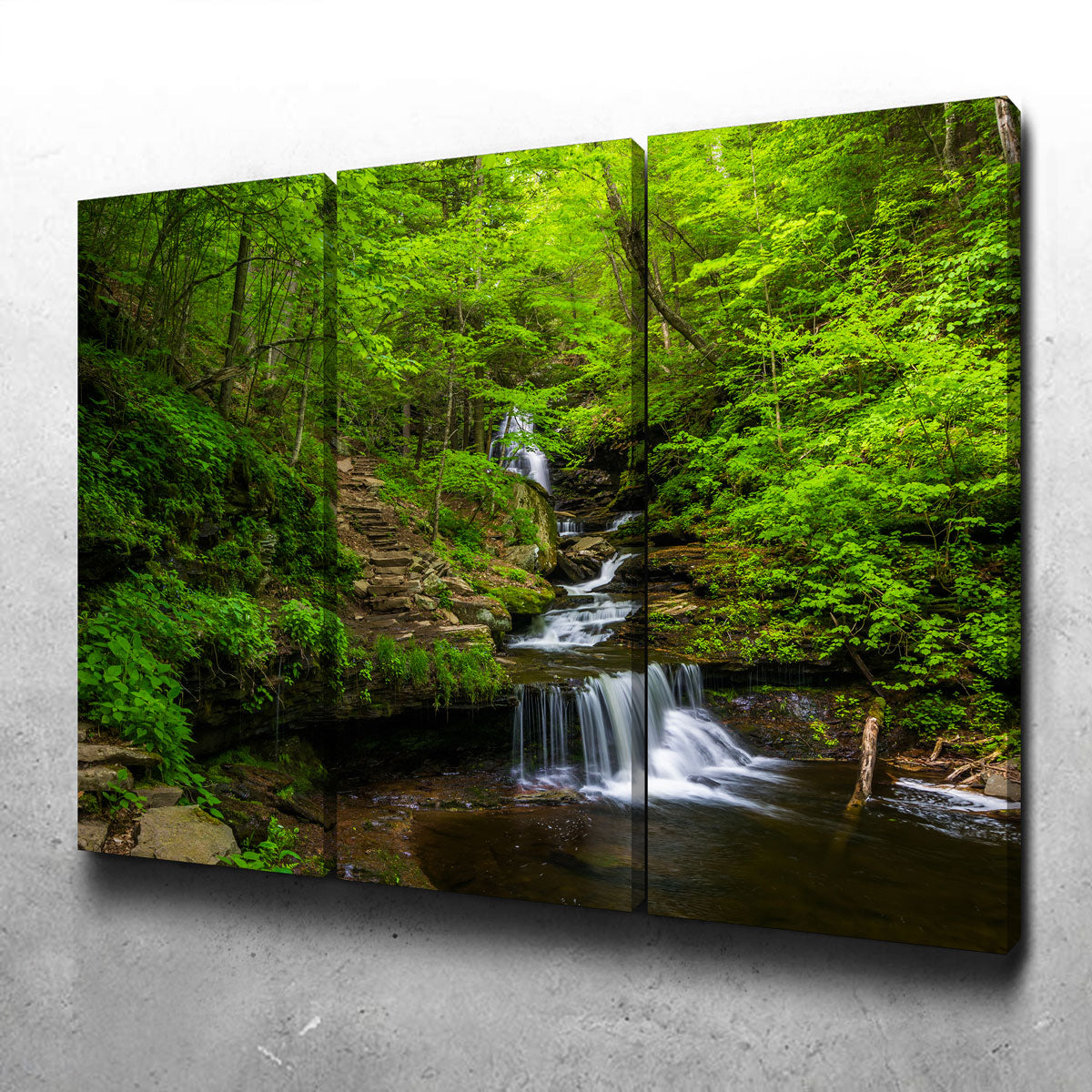 Ricketts Glen State Park Wall Art
