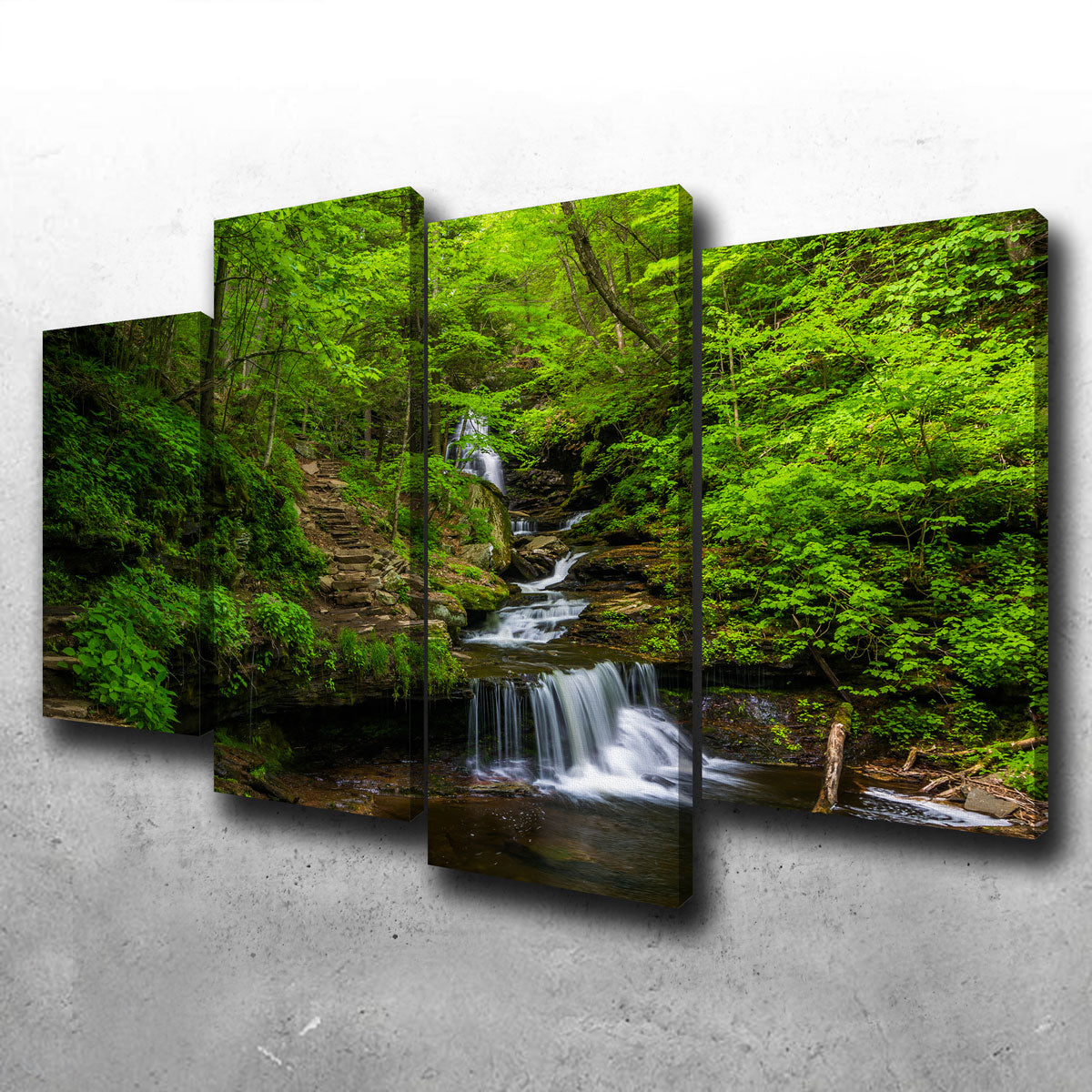 Ricketts Glen State Park Wall Art