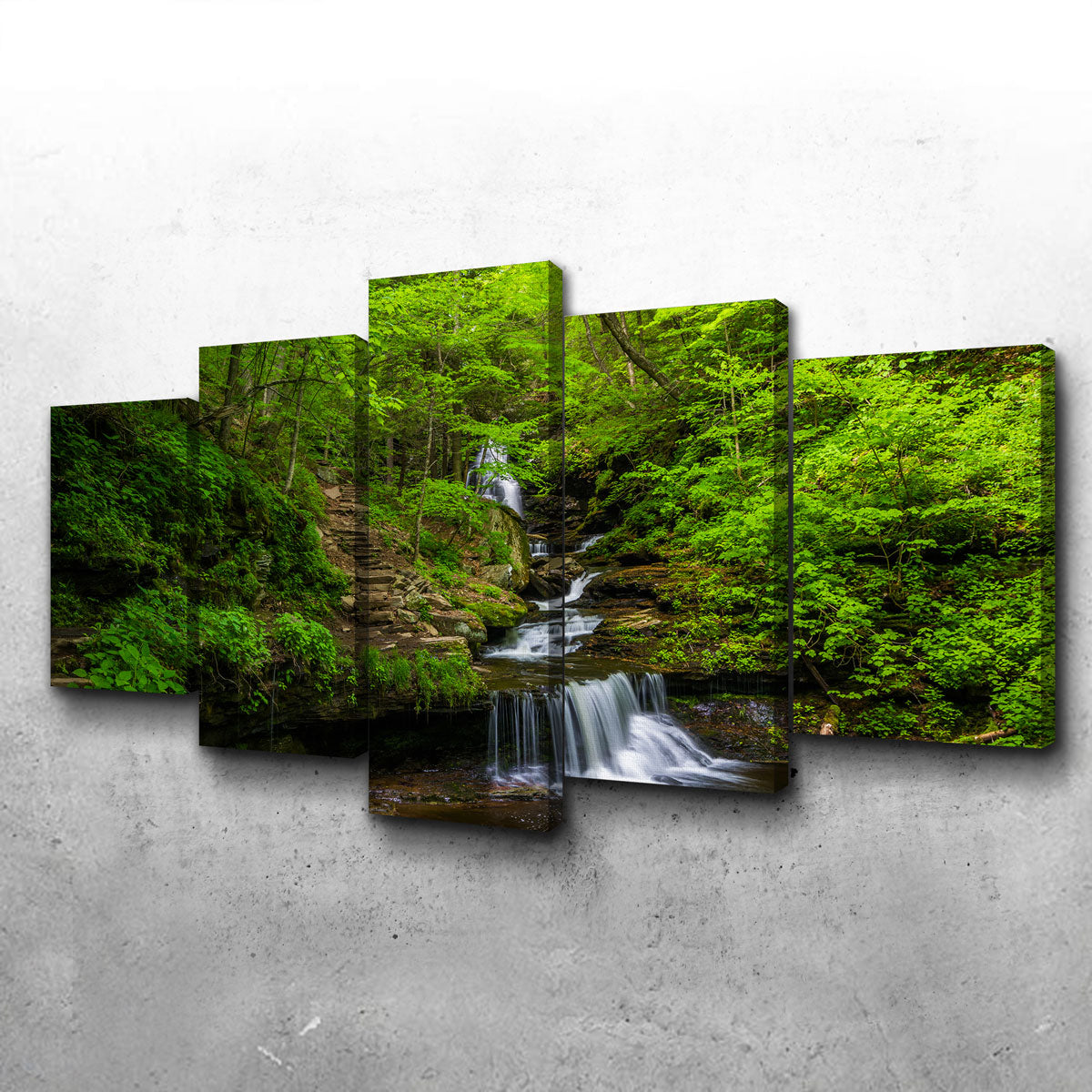 Ricketts Glen State Park Wall Art