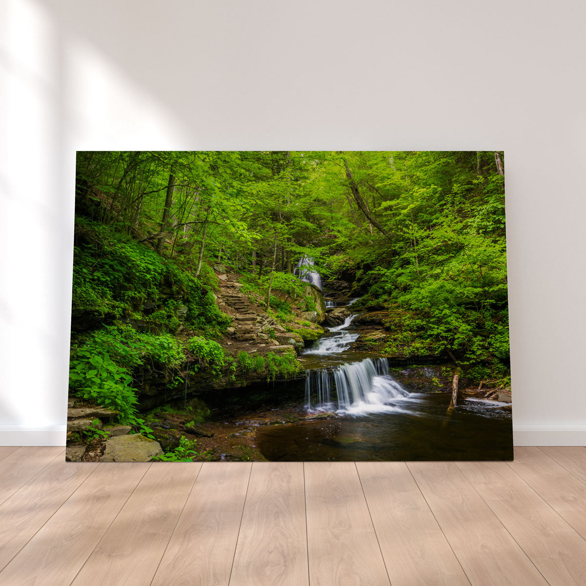 Ricketts Glen State Park Wall Art