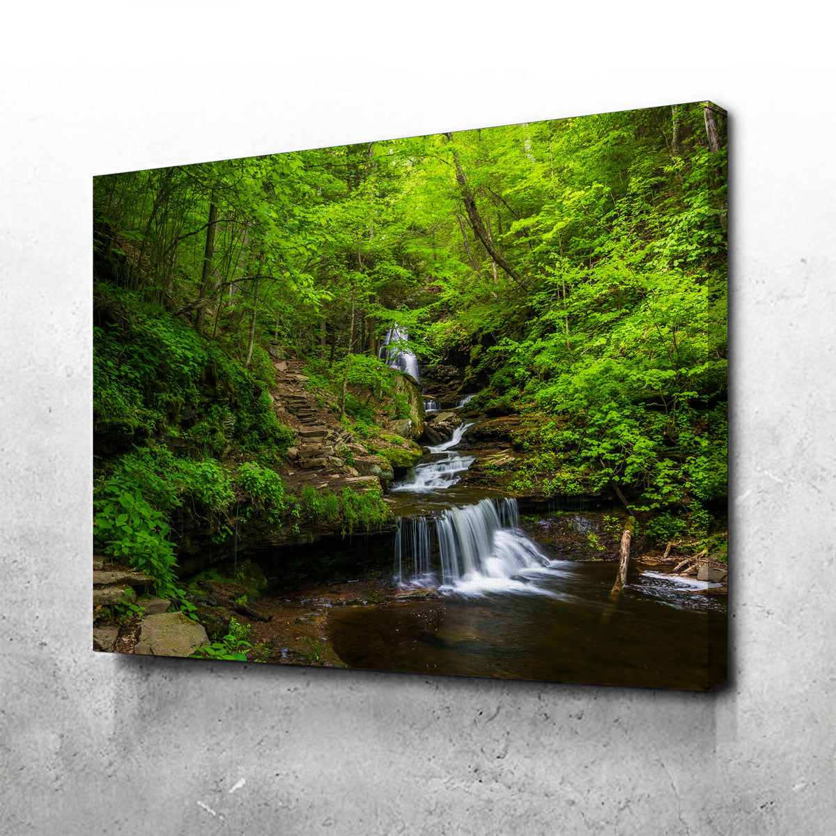 Ricketts Glen State Park Wall Art