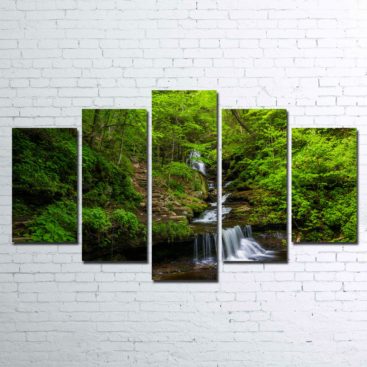 Ricketts Glen State Park Wall Art