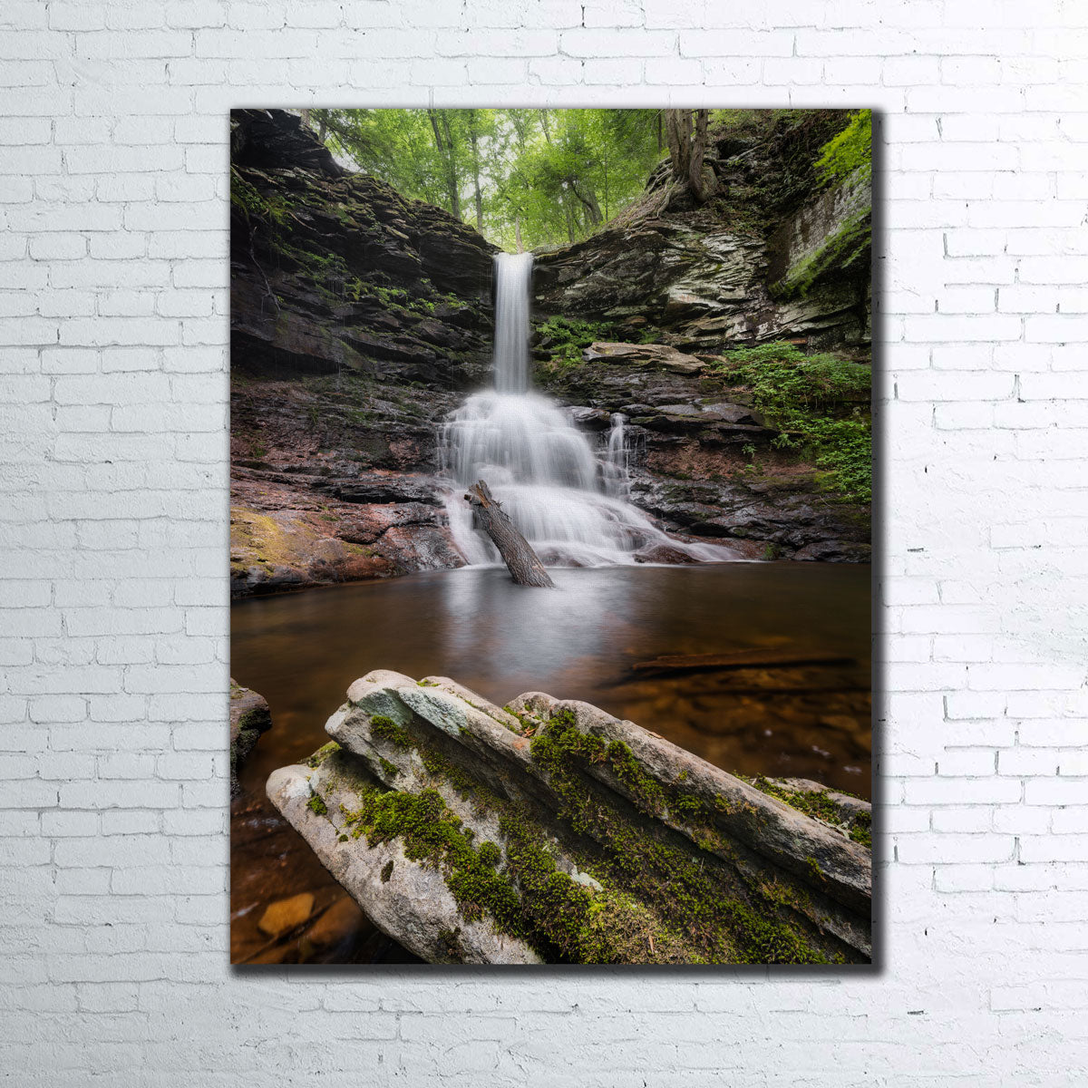 Sheldon Reynolds Falls