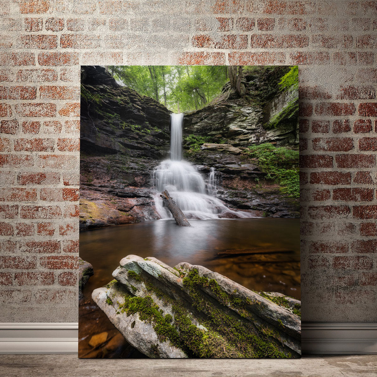 Sheldon Reynolds Falls