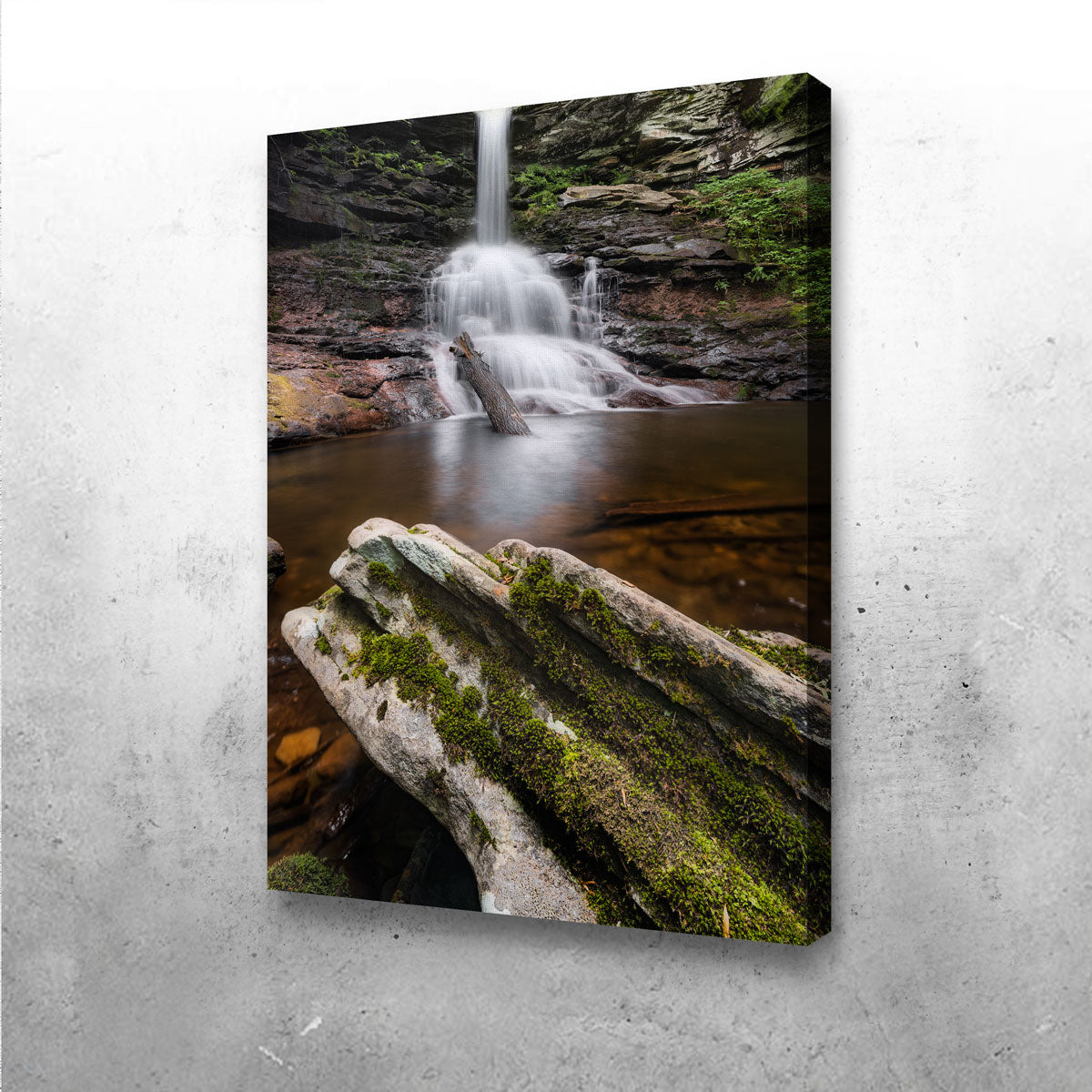 Sheldon Reynolds Falls