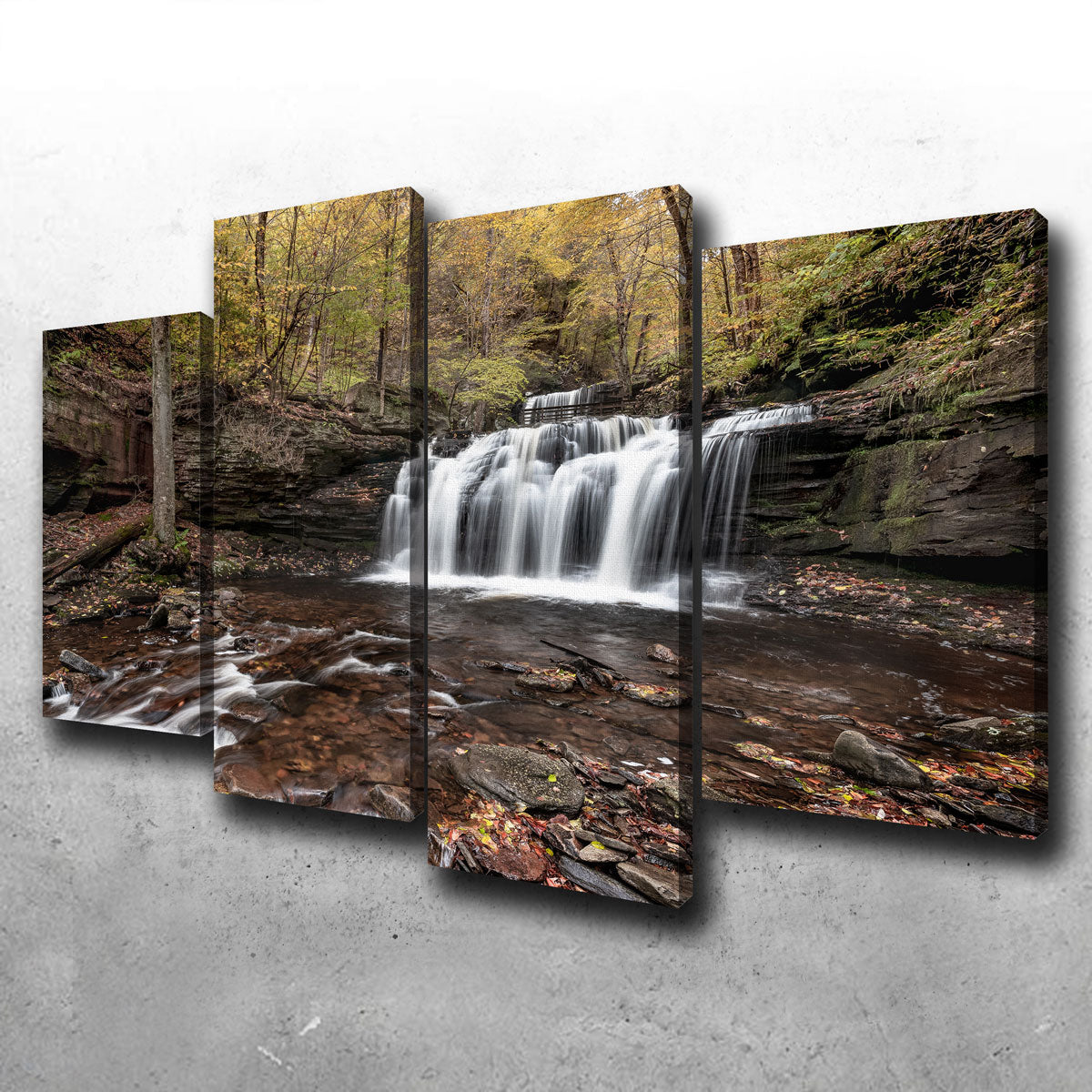 Who Loves Color Wall Art