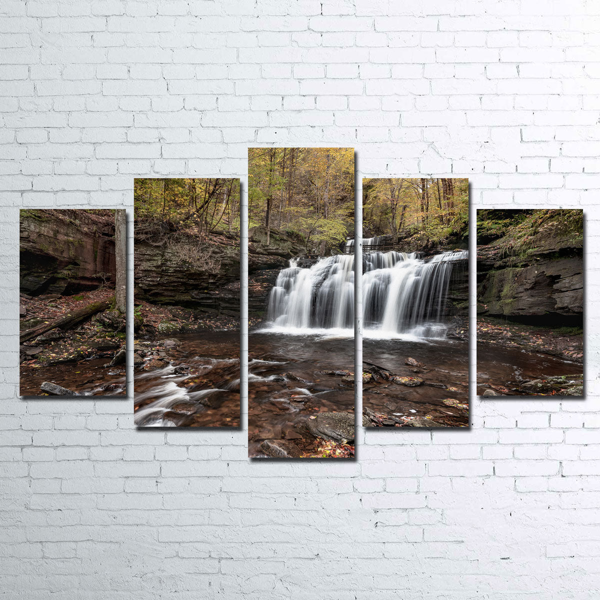 Who Loves Color Wall Art