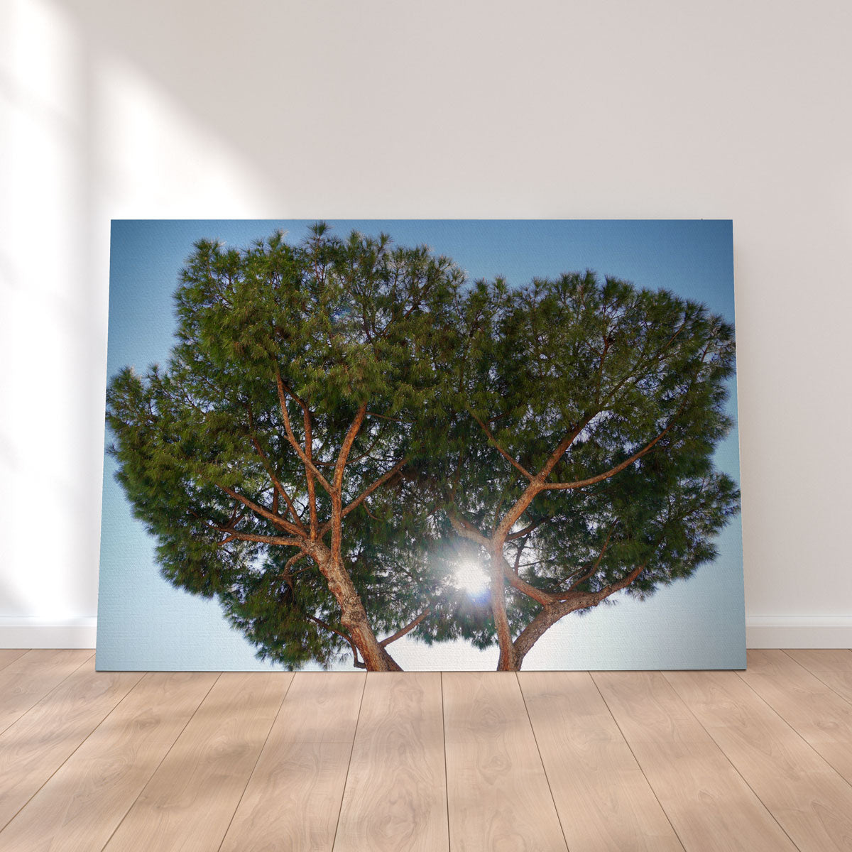 Rome, Italy Wall Art