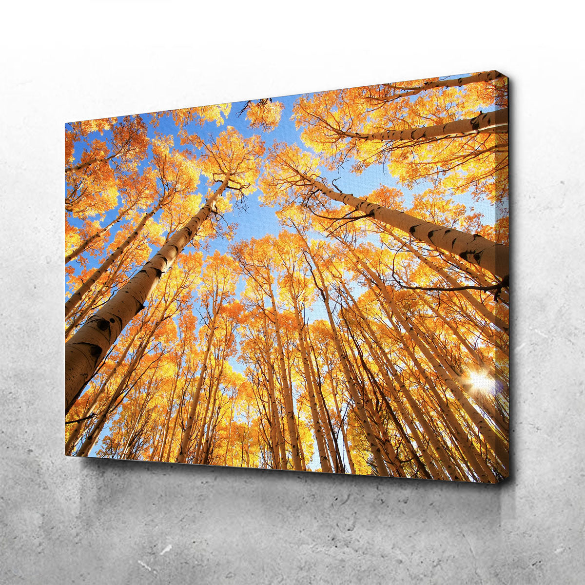 San Juan Aspens Wall Art