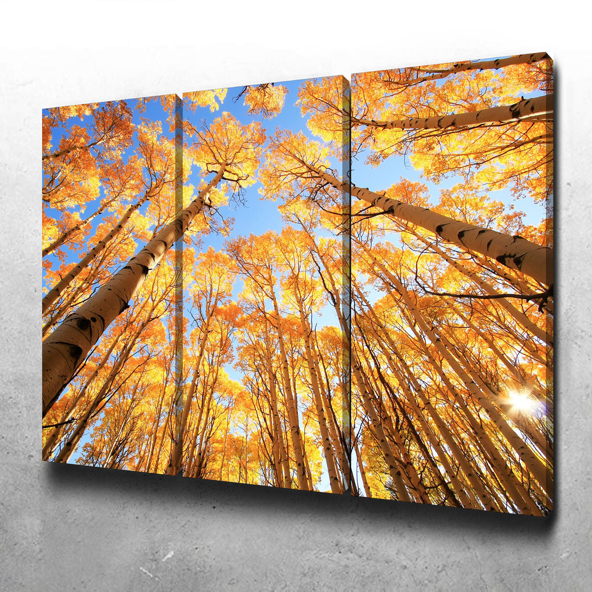 San Juan Aspens Wall Art