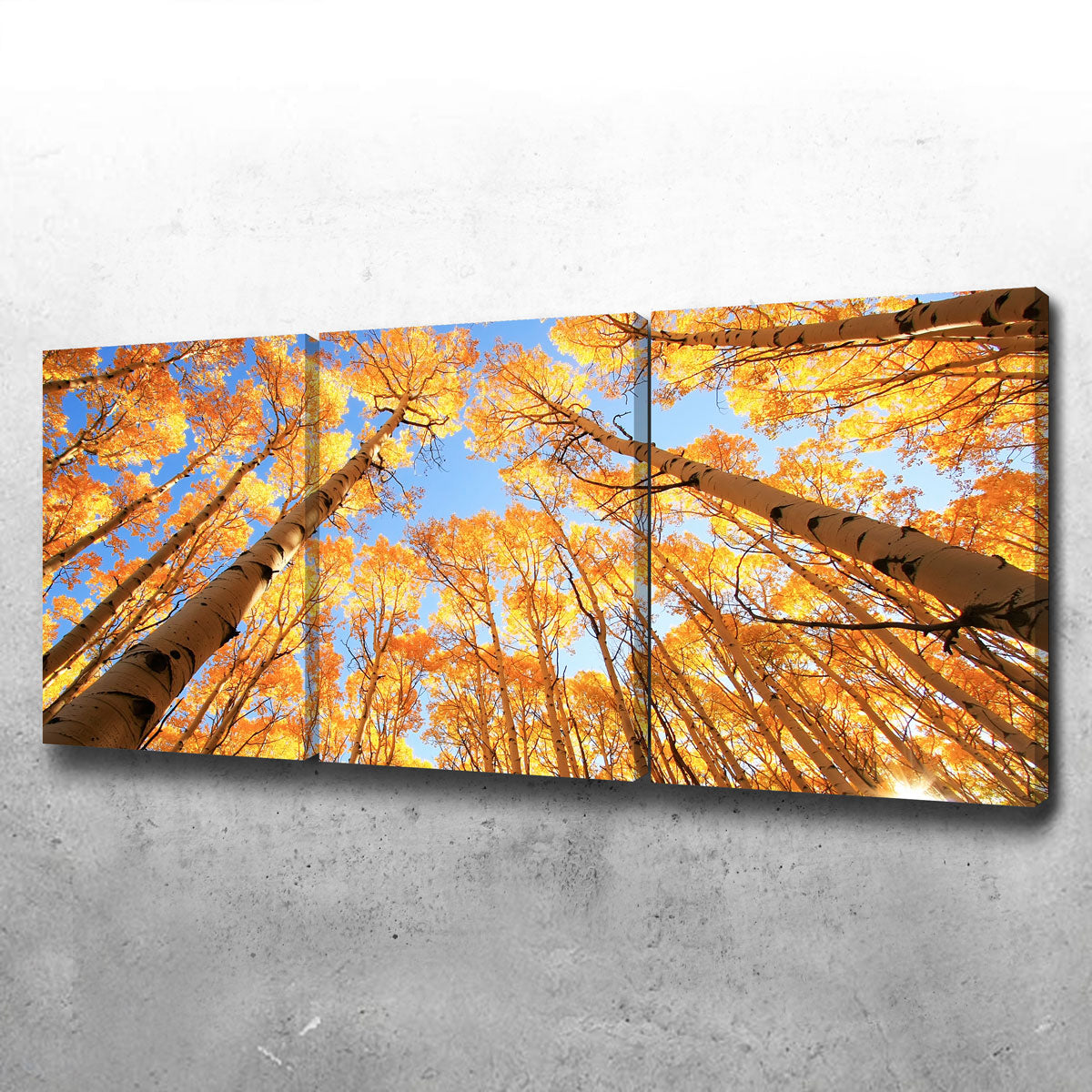 San Juan Aspens Wall Art
