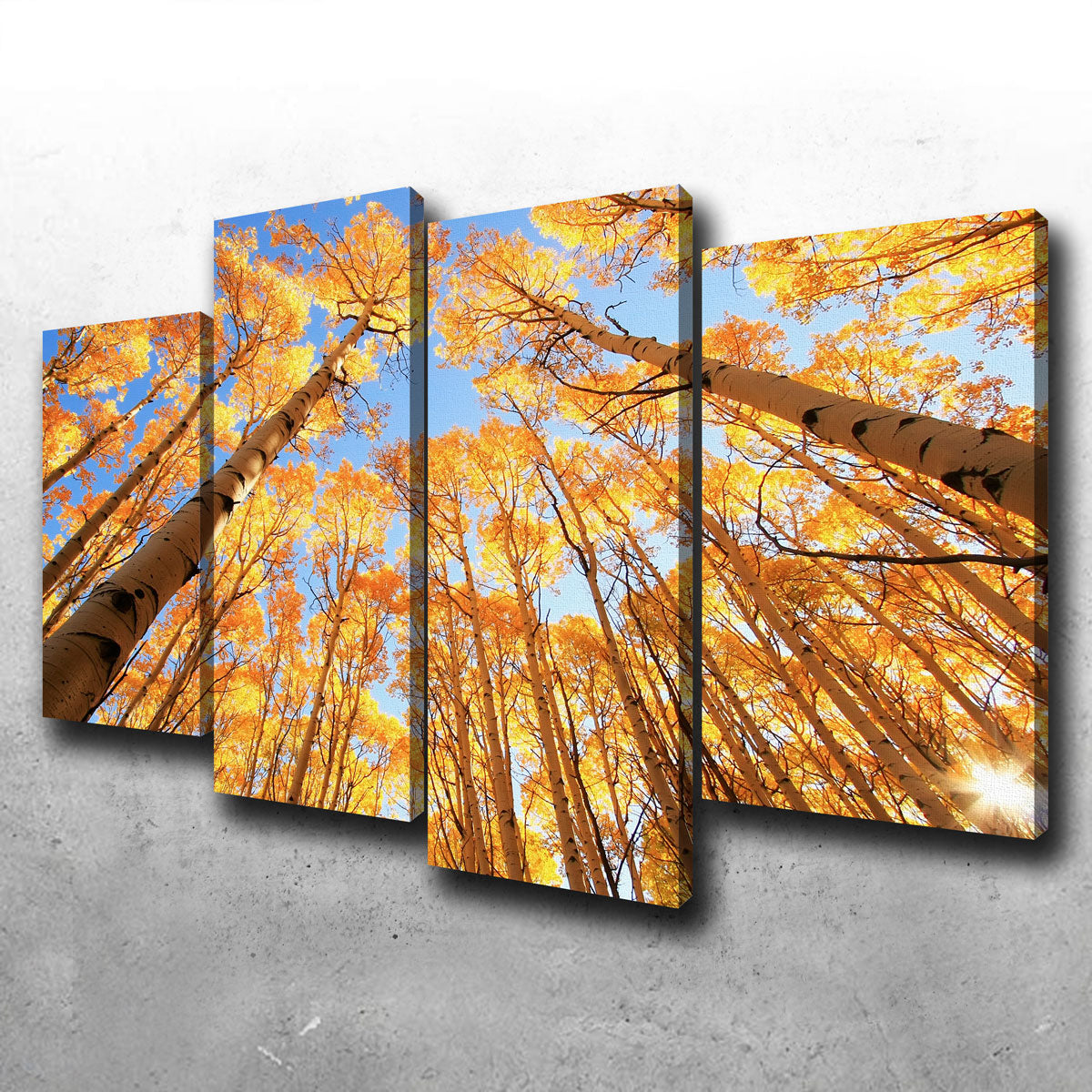 San Juan Aspens Wall Art