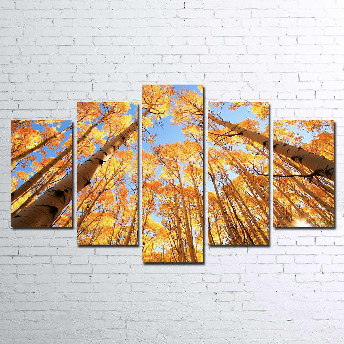 San Juan Aspens Wall Art