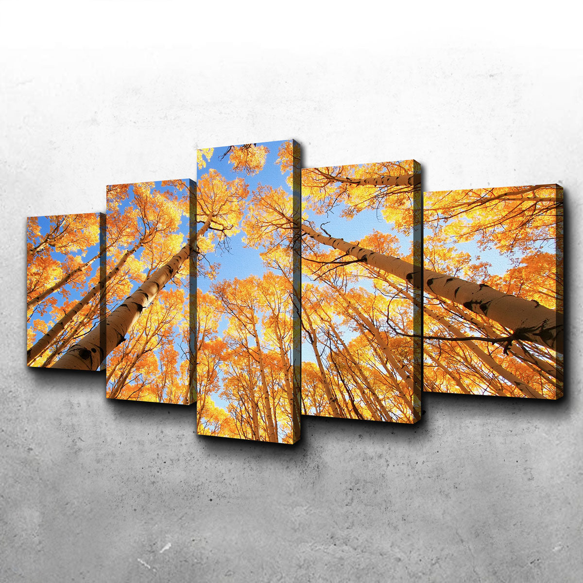 San Juan Aspens Wall Art