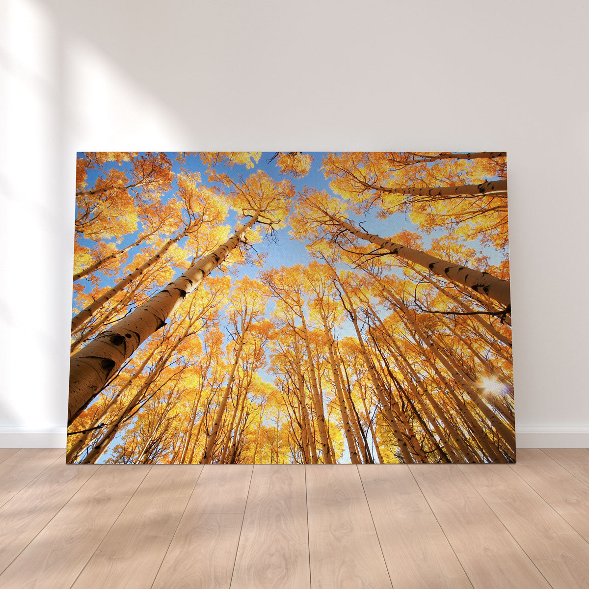 San Juan Aspens Wall Art