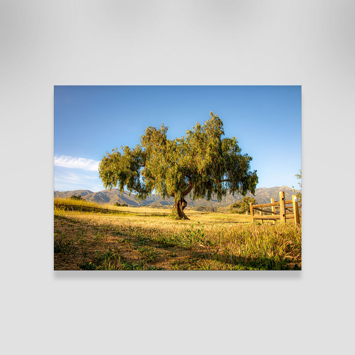 San Marcos Foothills Wall Art