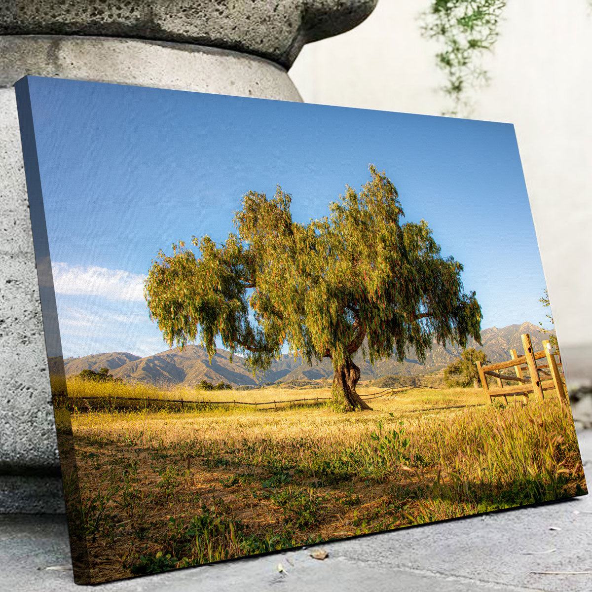 San Marcos Foothills Wall Art