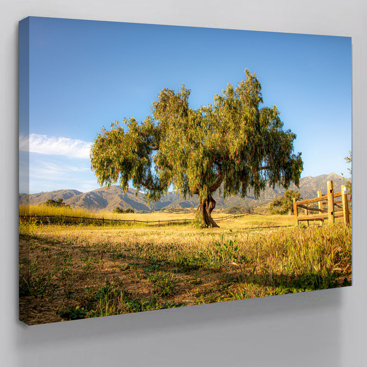 San Marcos Foothills Wall Art