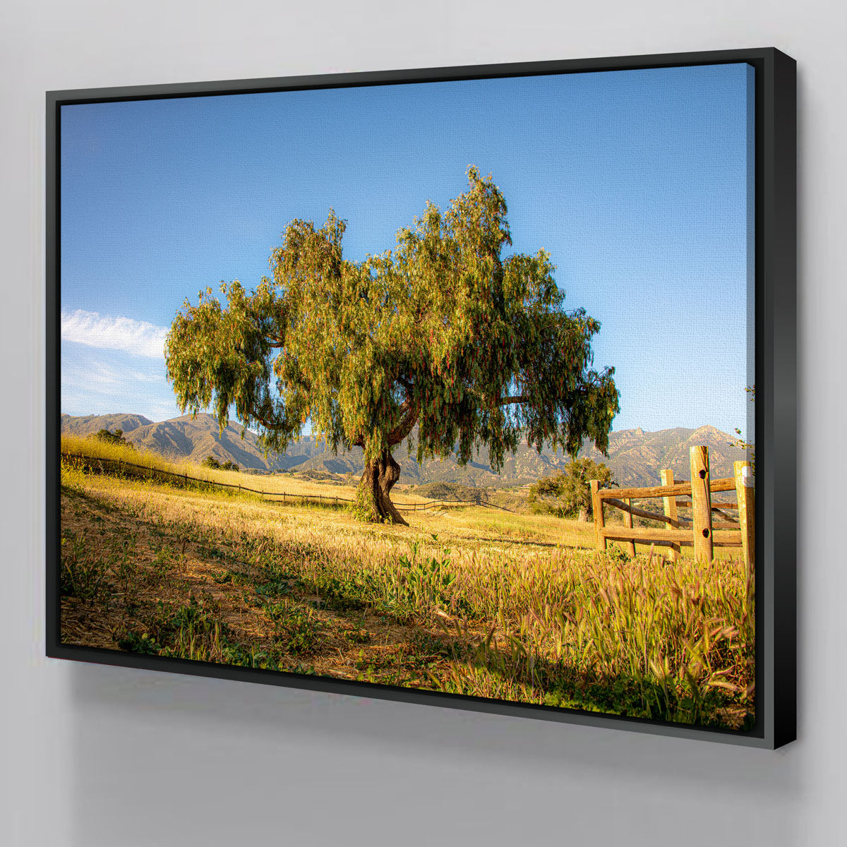 San Marcos Foothills Wall Art