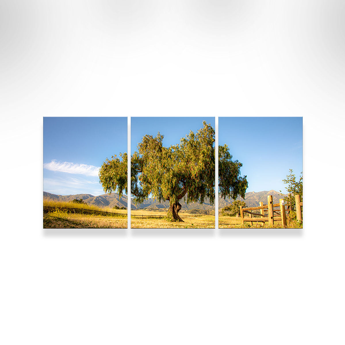 San Marcos Foothills Wall Art