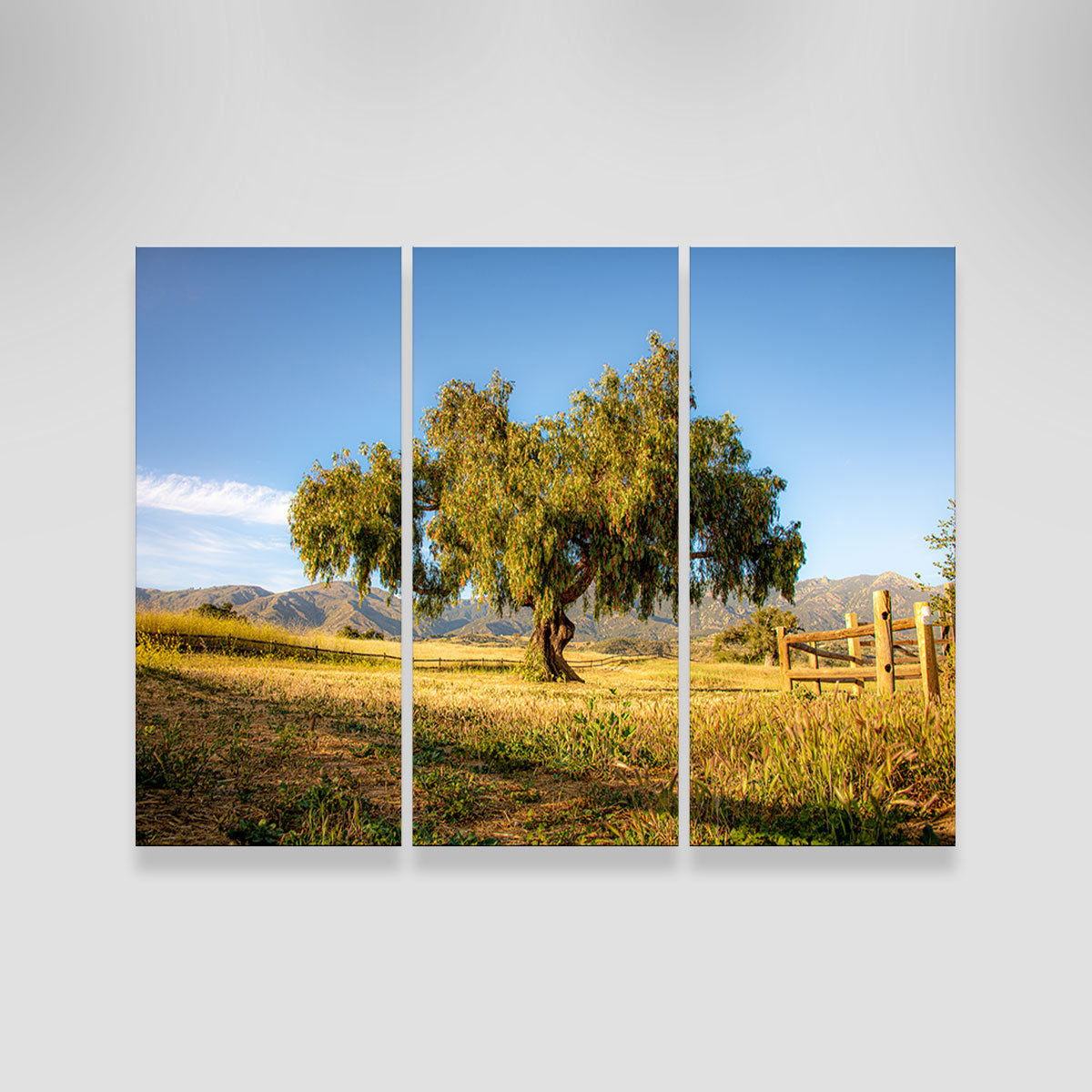 San Marcos Foothills Wall Art