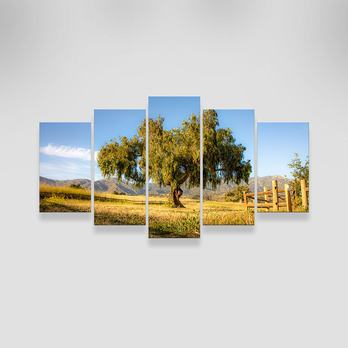 San Marcos Foothills Wall Art
